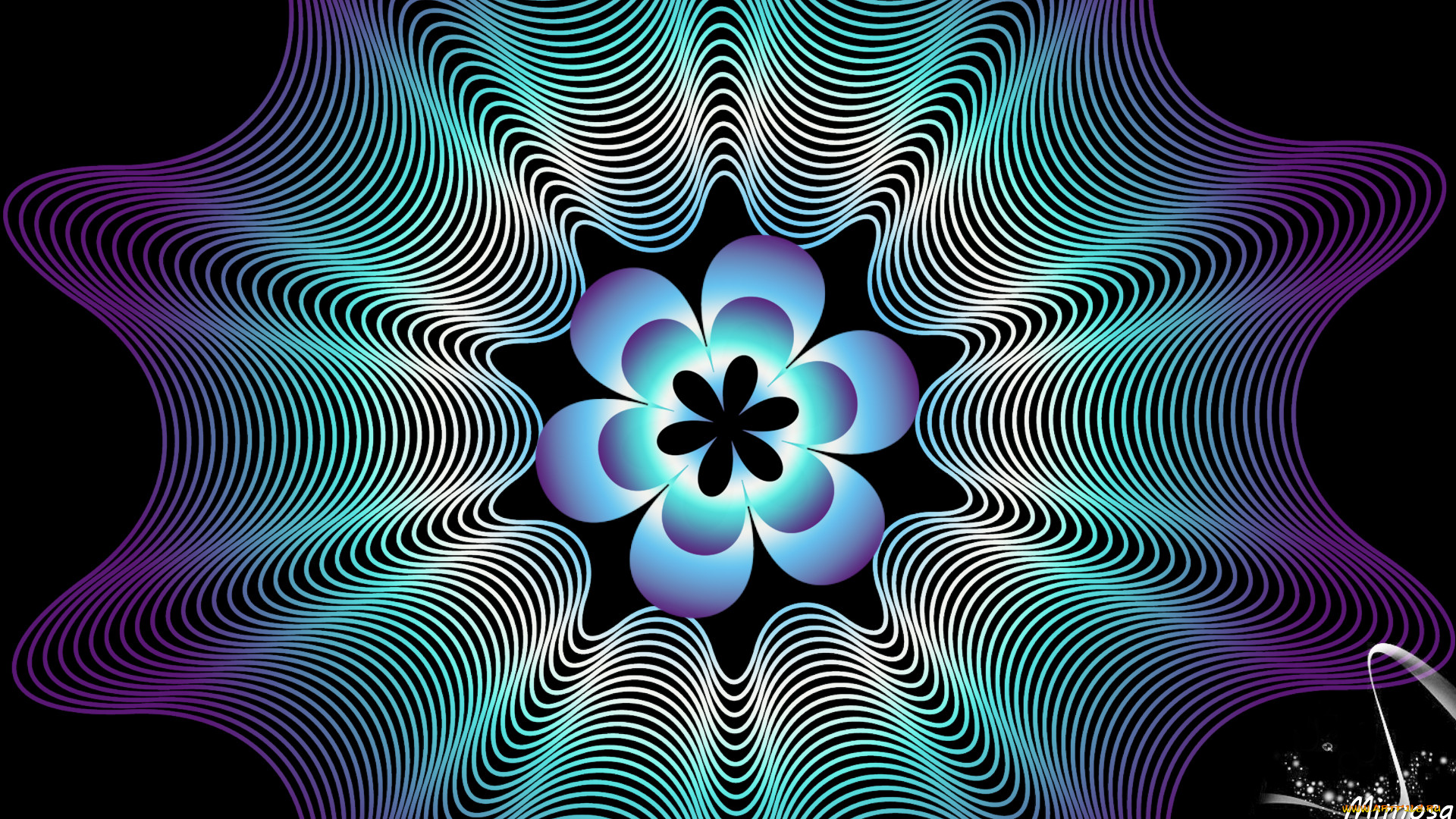  ,  , graphics, , , 